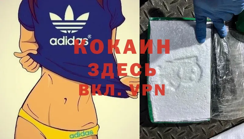 Cocaine Эквадор  сайты даркнета какой сайт  Ивдель  где найти  