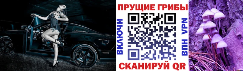 Псилоцибиновые грибы ЛСД  купить  сайты  Ивдель 
